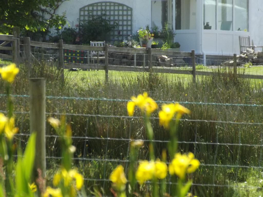 The Swallows Guest House New Quay (Ceredigion) Quarto foto
